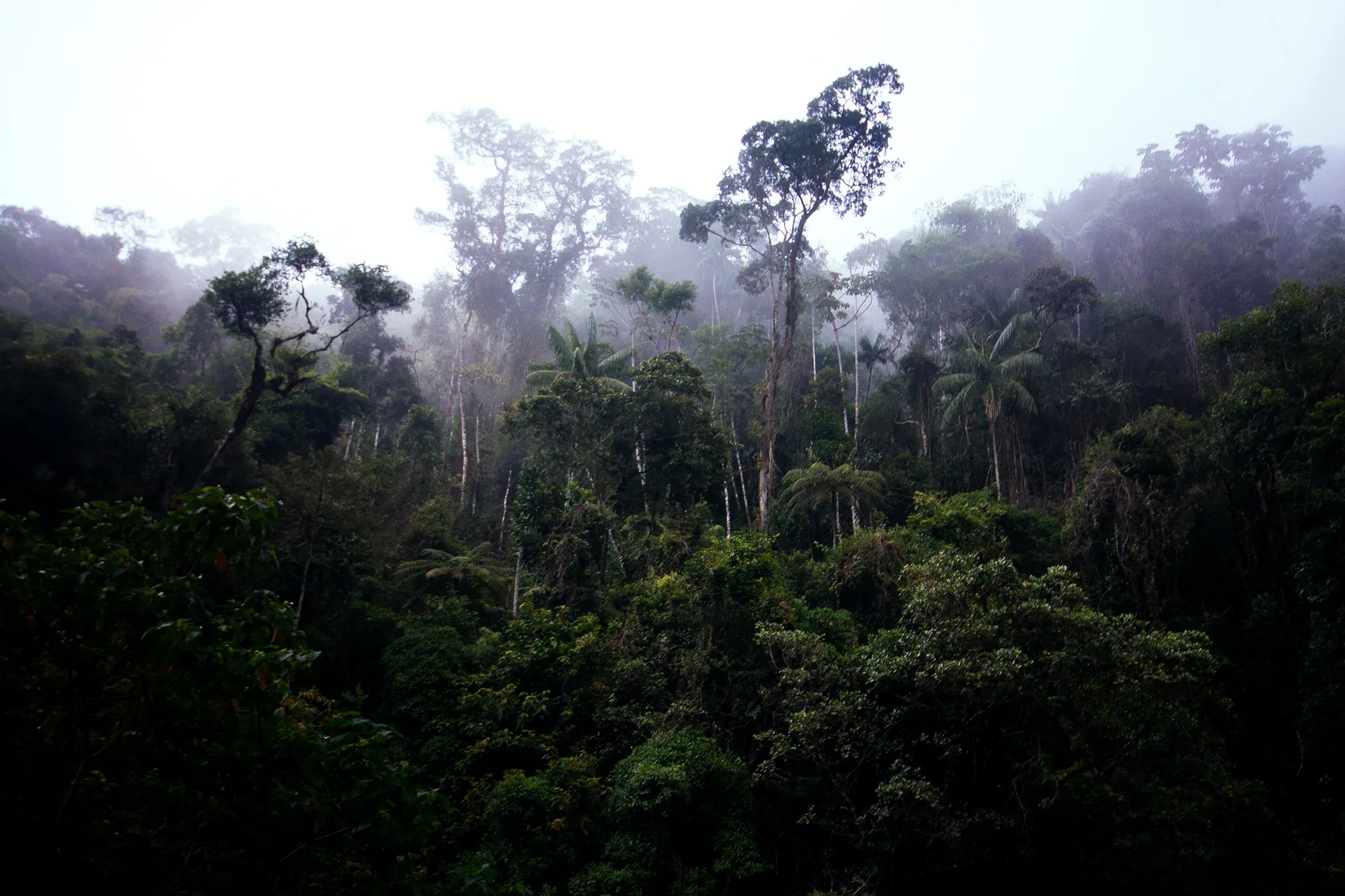 Travelling lightly on the Costa Verde