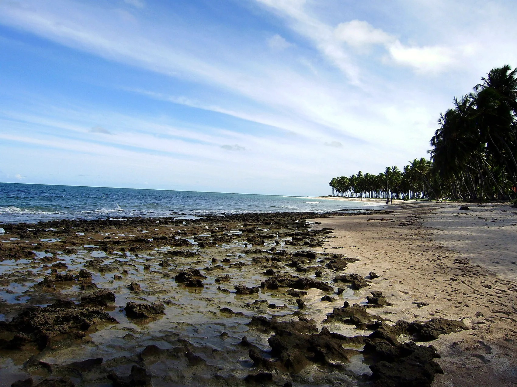 A jungle-backed cove on the Bay of Paraty