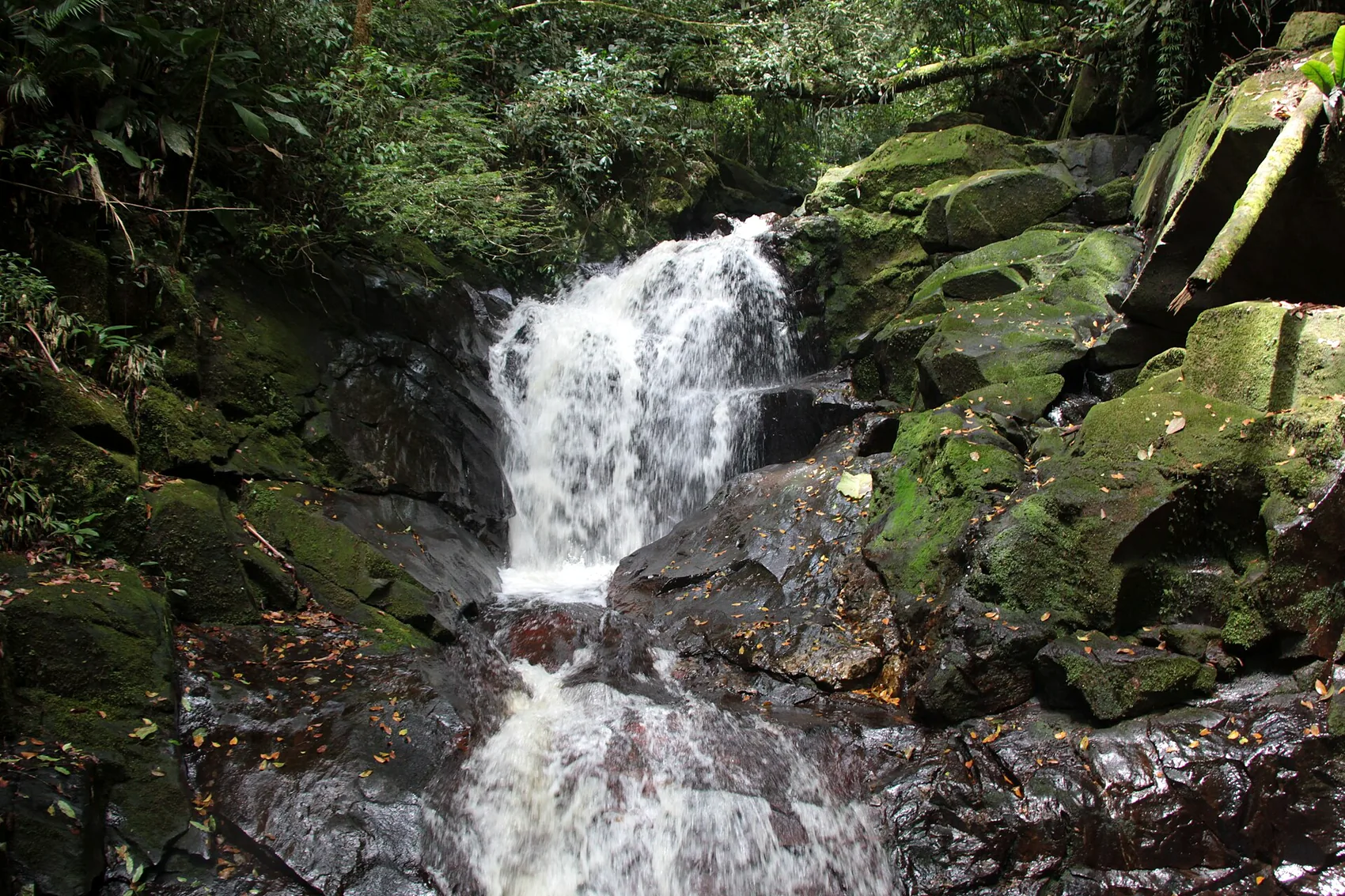 Paraty adventure: trekking, canyoning and ziplines