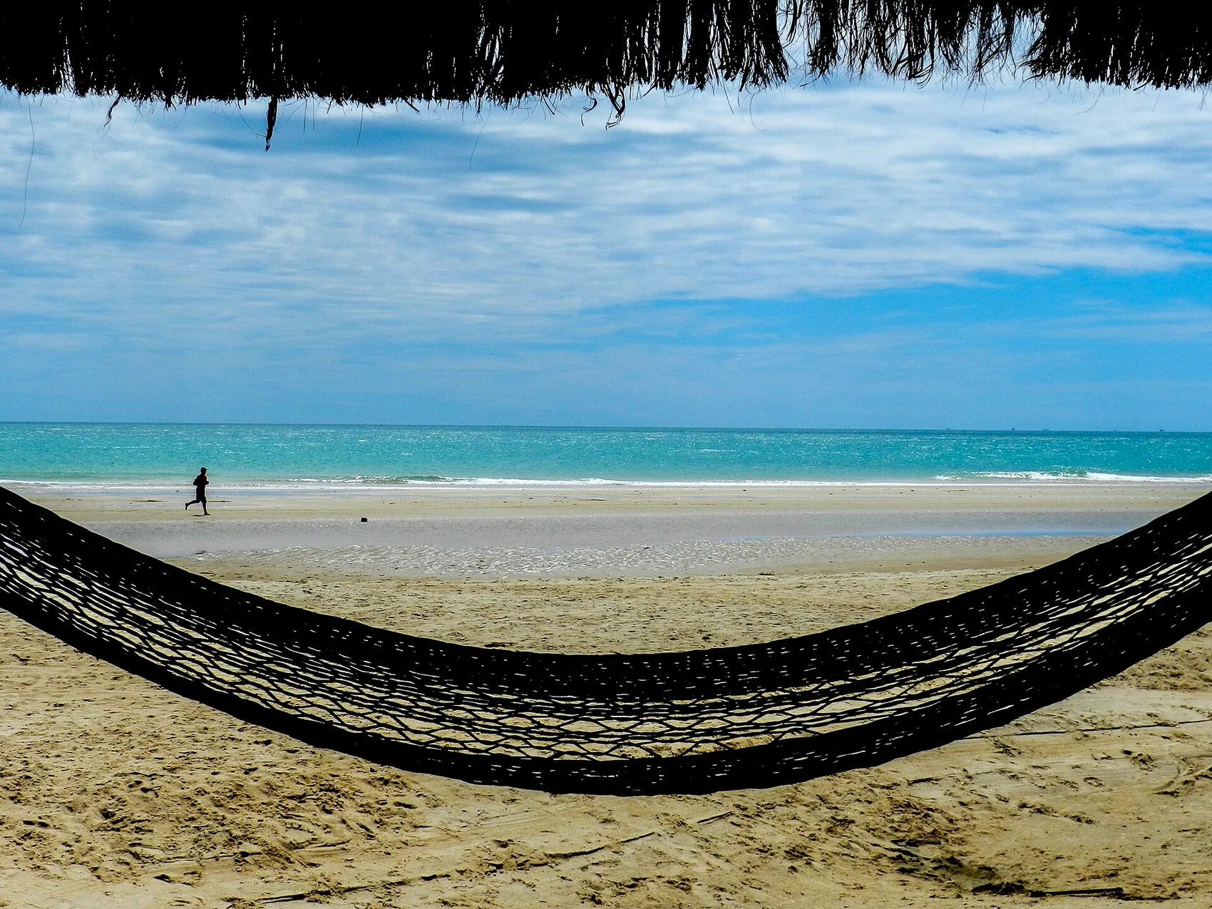 A hammock strung between palms above the sand