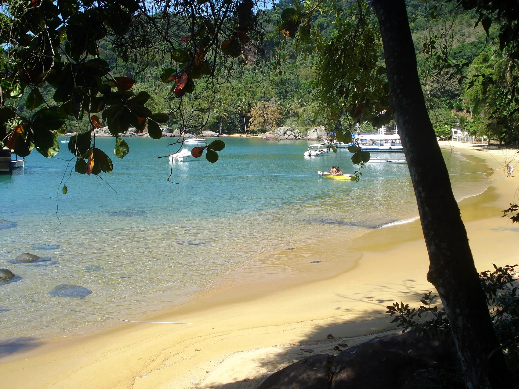 A forest trail across Ilha Grande