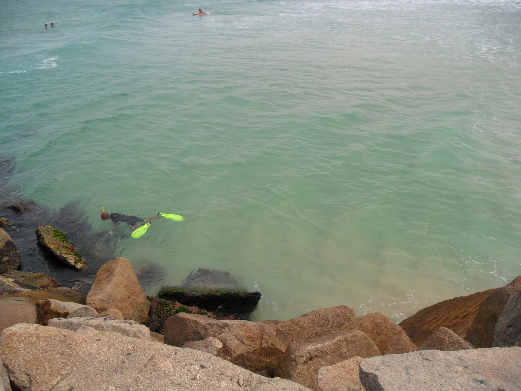 Snorkeling and diving the Costa Verde