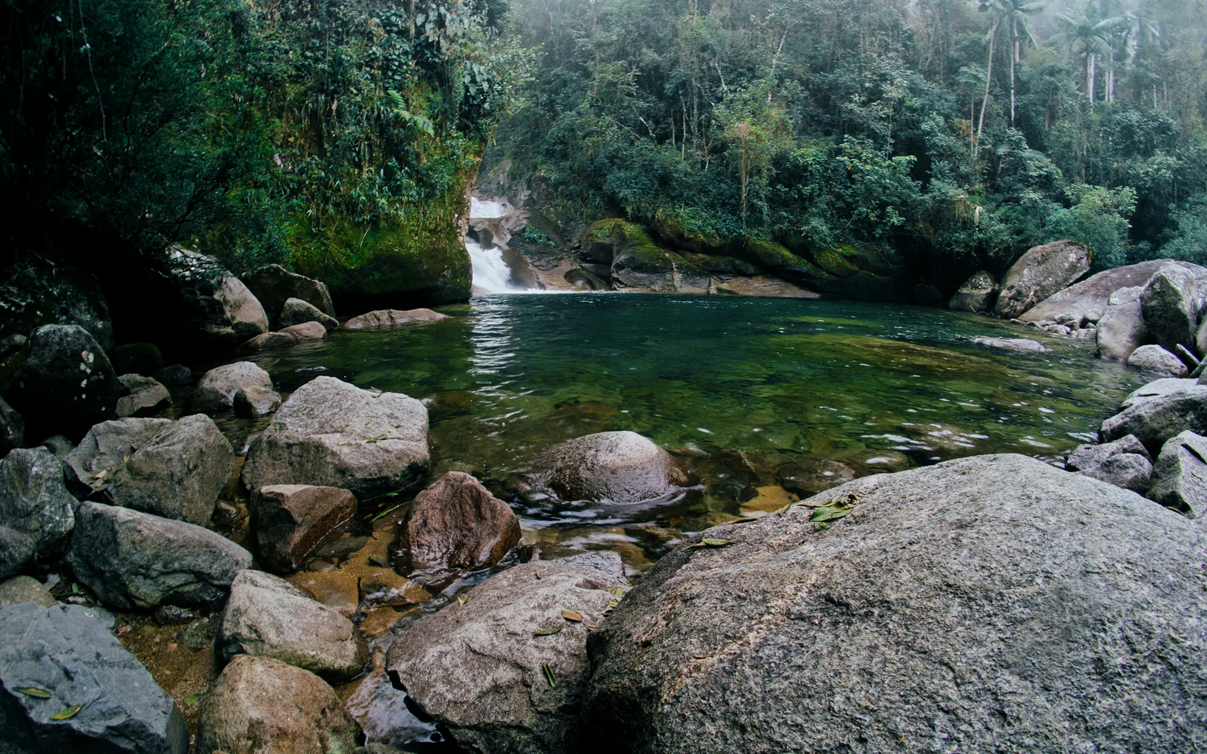 A forest waterfall in the hills above the Costa Verde